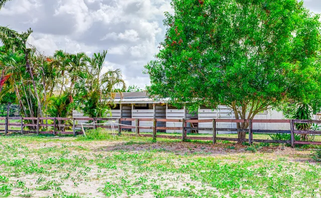 a view of a house with backyard and a tree