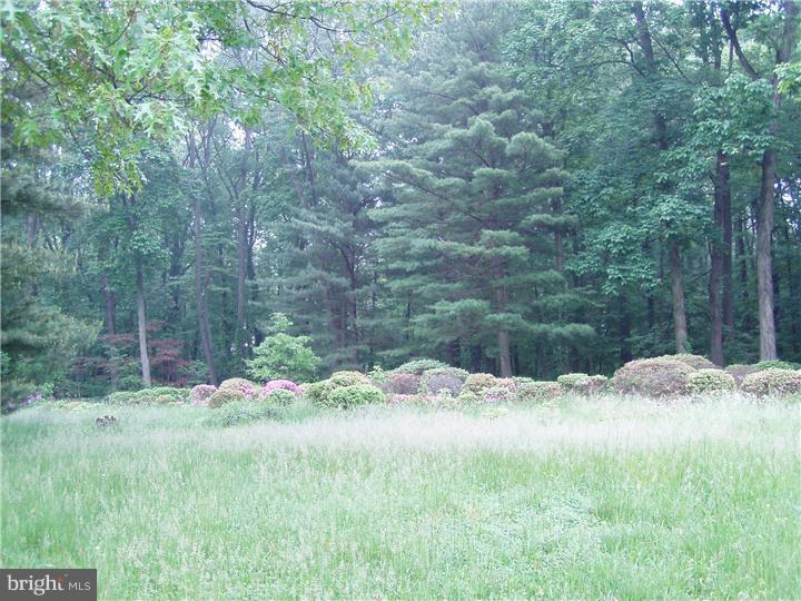 905 Middle Road Perkasie, PA 18944 - Photo 3 of 4 Gallery Image 3