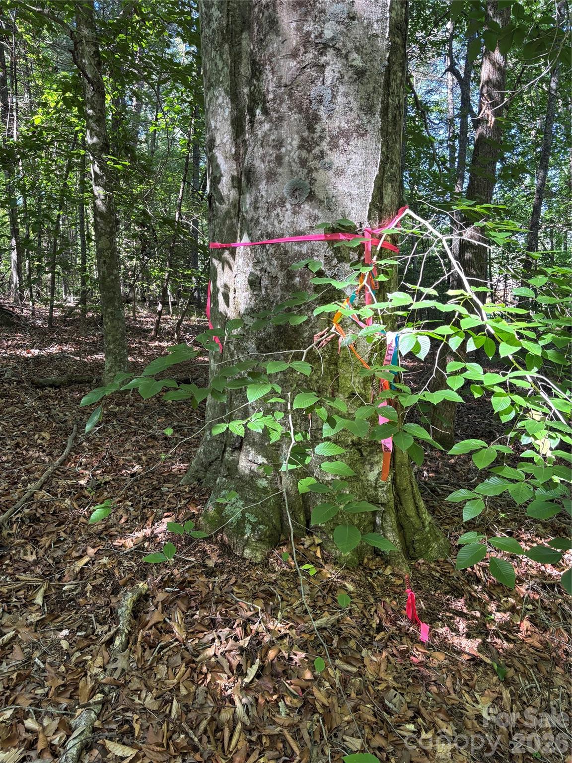 0 Stillwater Road Boomer, NC 28606 - Photo 23 of 33
