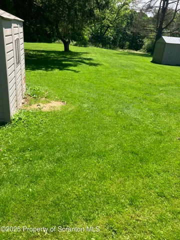 a view of a grassy field with trees