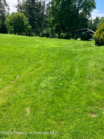 a view of green field with trees