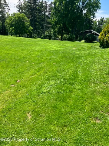 a view of green field with trees