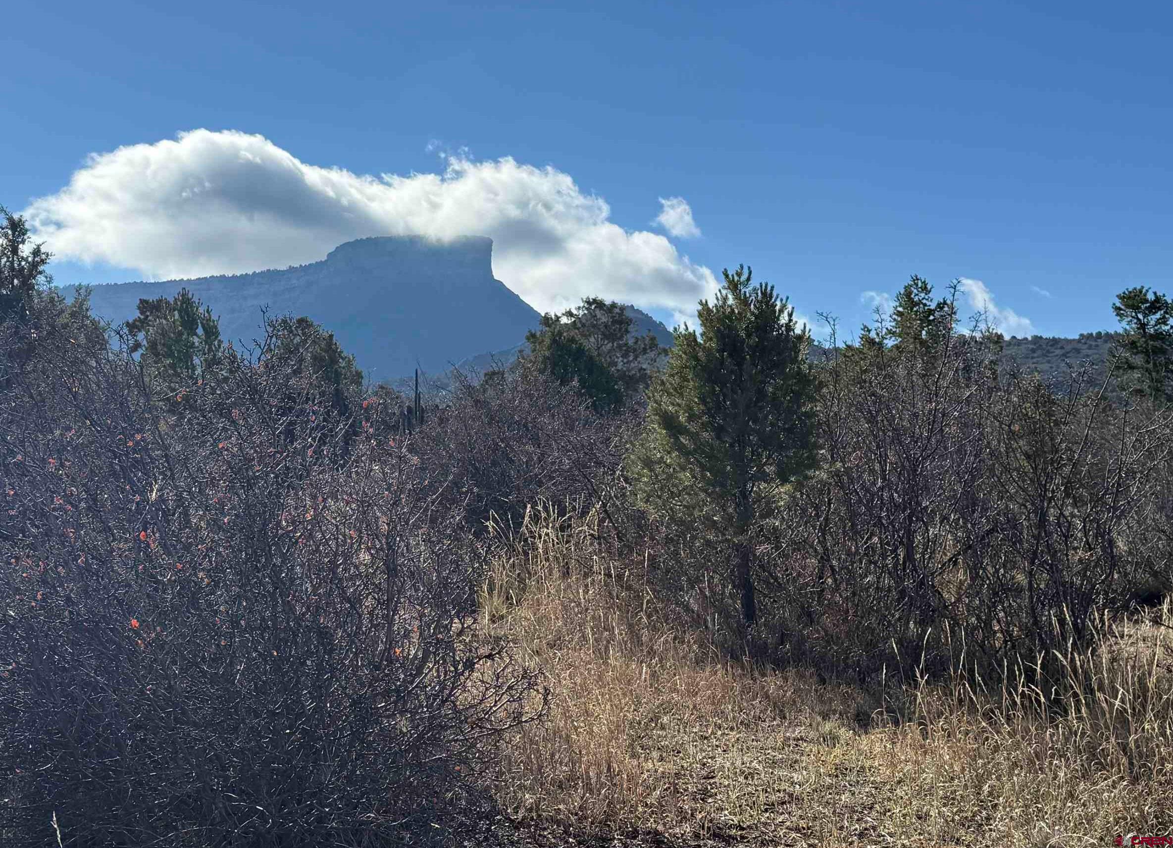 35575 Rd H.5 Mancos, CO 81328 - Photo 11 of 12 a view of a sky
