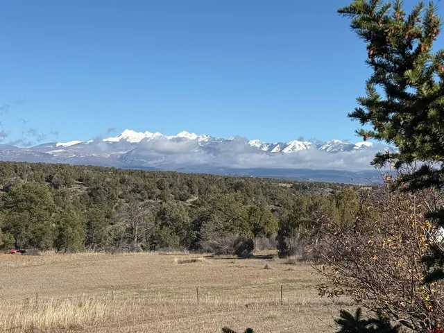 a view of a large yard