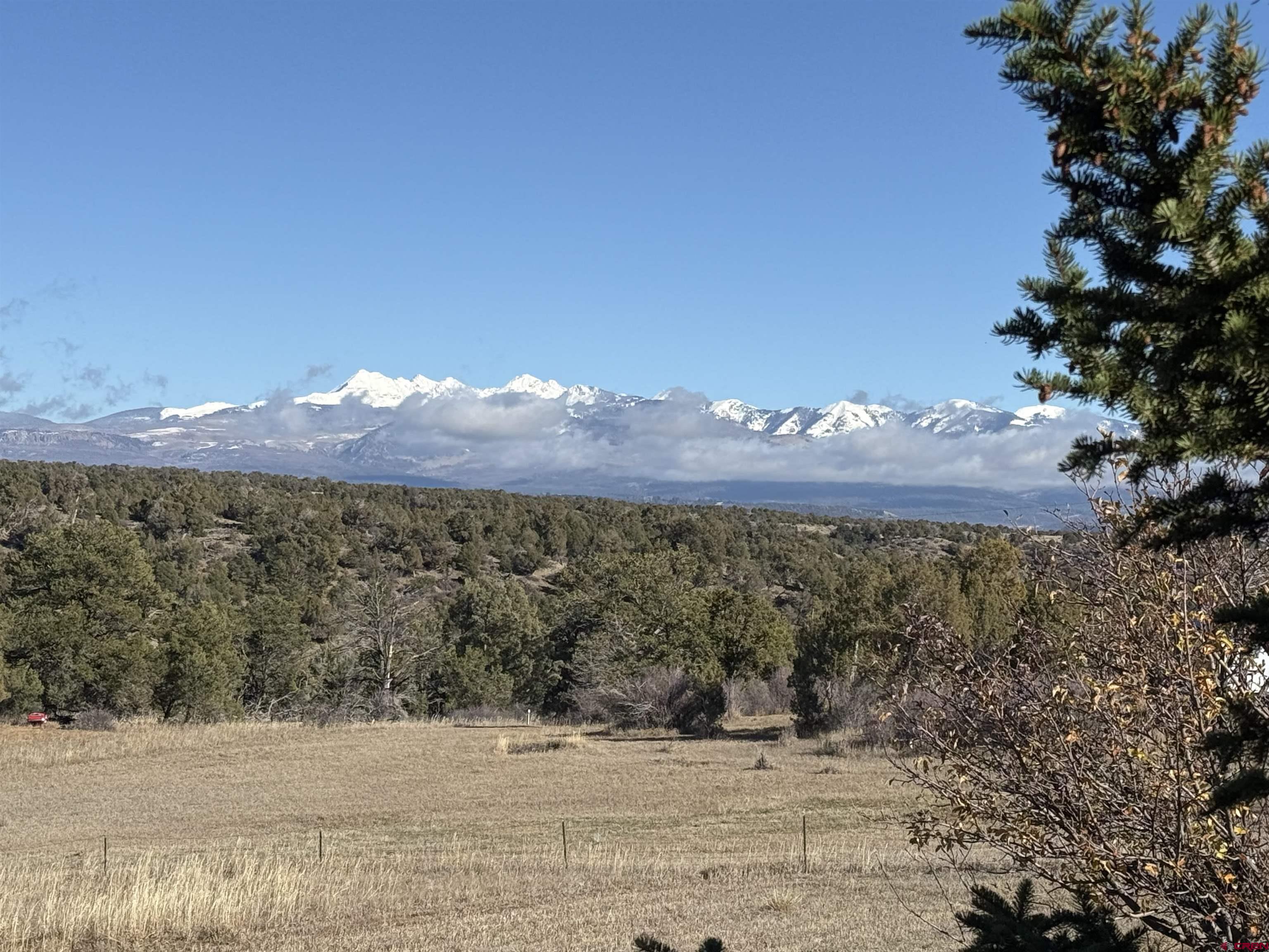 35575 Rd H.5 Mancos, CO 81328 - Photo 2 of 12 a view of a large yard