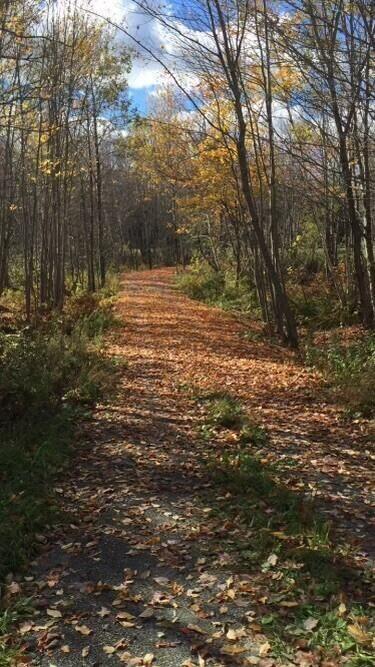 514 Main Road Charleston, ME 04422 - Photo 6 of 14 07