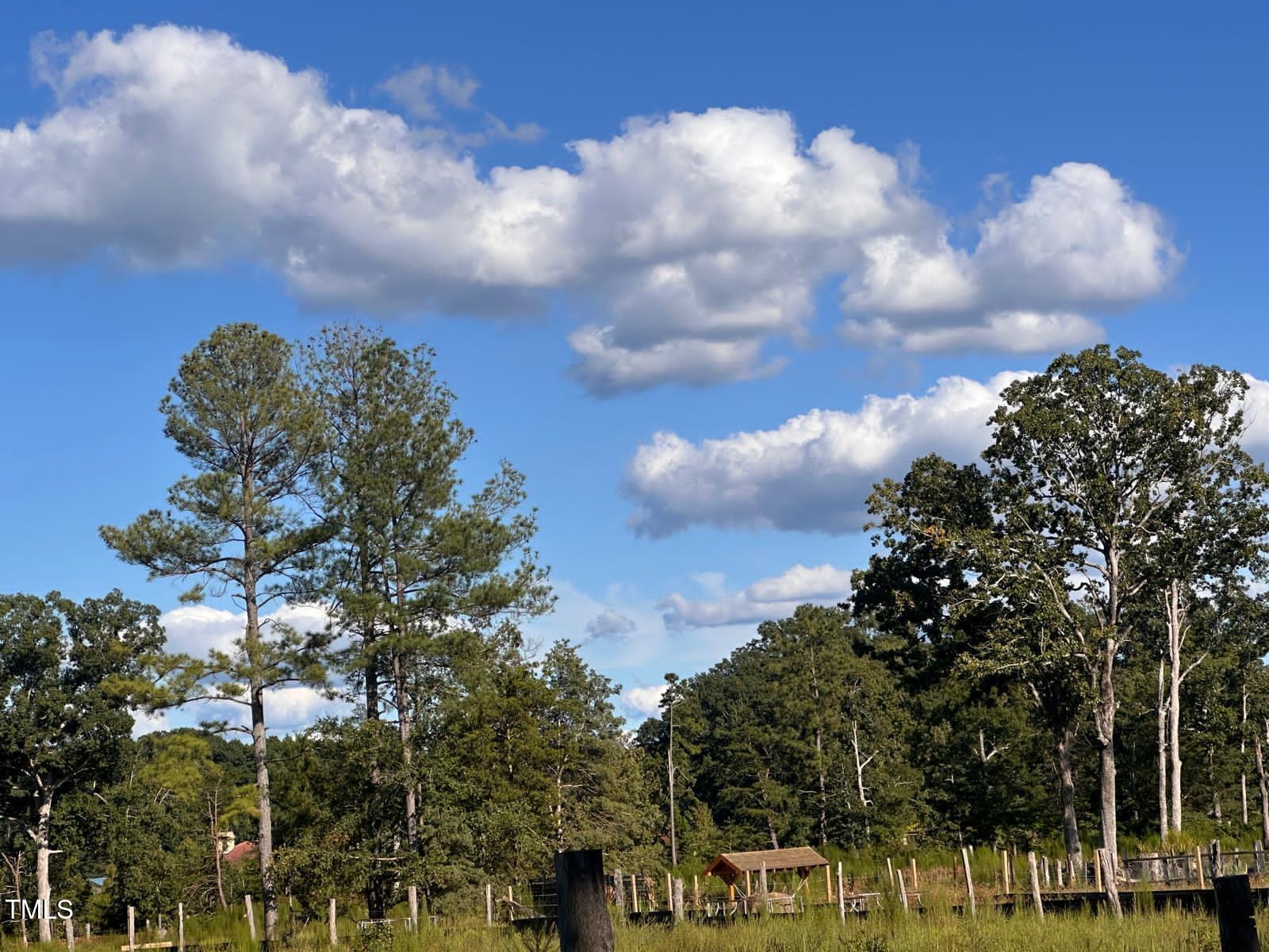 280 Chambers Road Rougemont, NC 27572 - Photo 5 of 26 d922072b-9a1b-4c68-b831-60446d4b1052