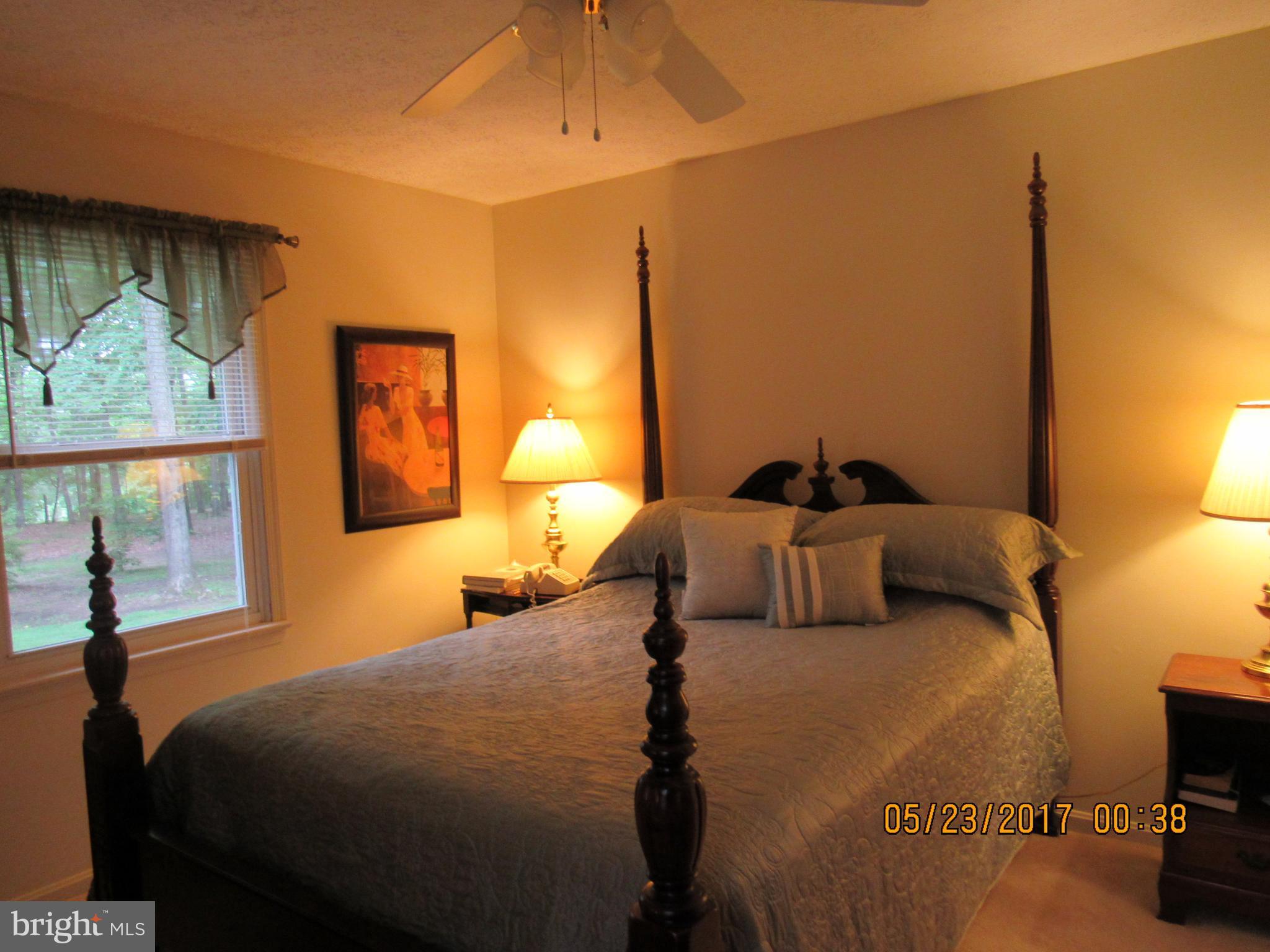 29057 Lacewood Road Rhoadesville, VA 22542 - Photo 3 of 22 master bedroom on main level,