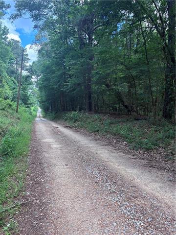 0 Gin Road Pineville, LA 71360 - Photo 3 of 7