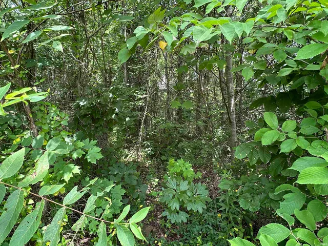 $178,875 | 500 West English In 47118, English, IN 47118