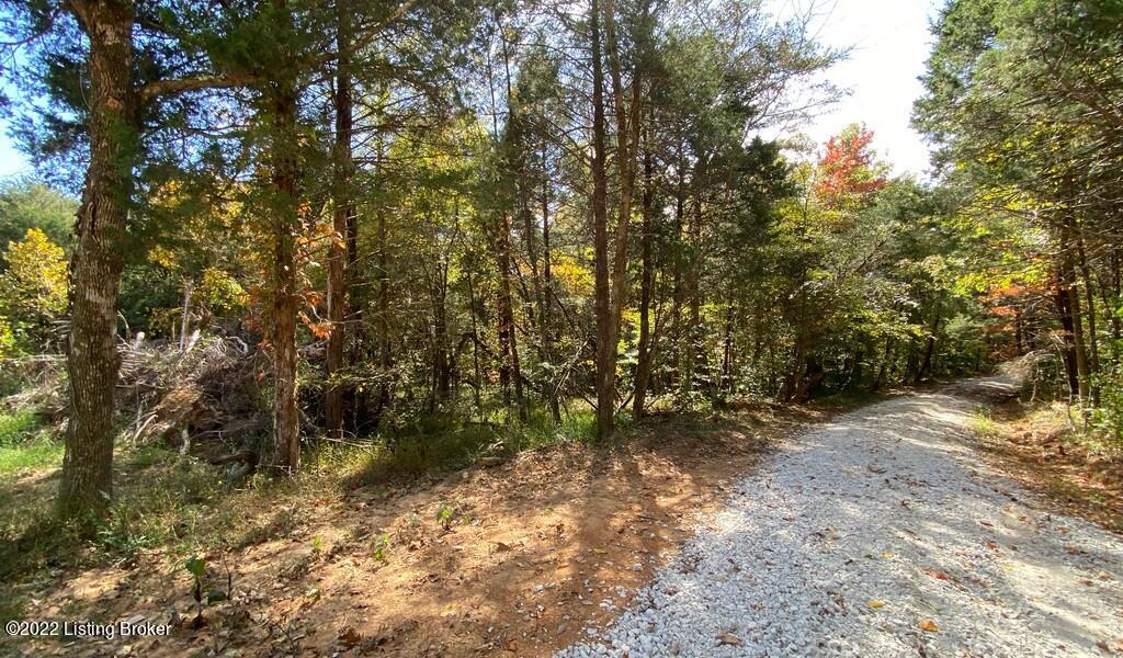 L46 Logsdon Spur Road Clarkson, KY 42726 - Photo 6 of 11 River View Fall242