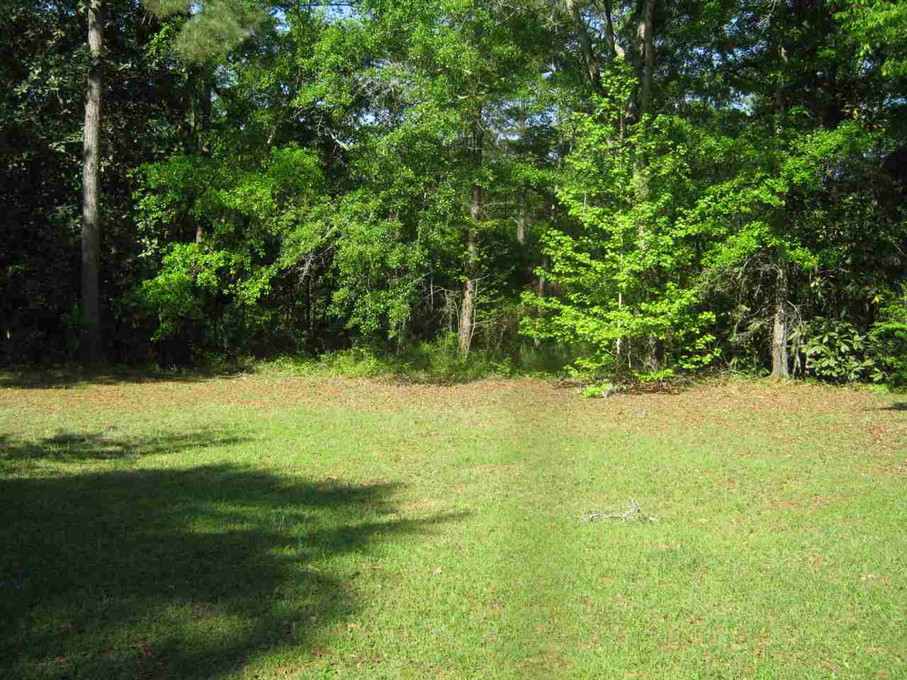 13121 Ring Neck Road Tallahassee, FL 32312 - Photo 3 of 14 Gallery Image 3