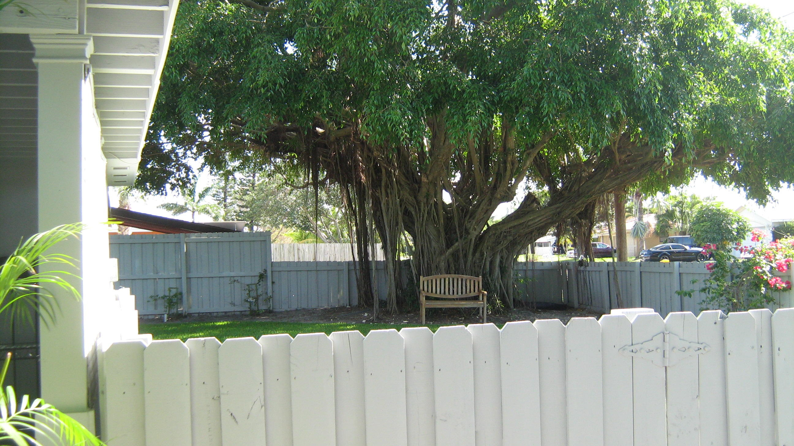 400 Northeast 46th Street Boca Raton, FL 33431 - Photo 29 of 31 Side Yard - Carport Side