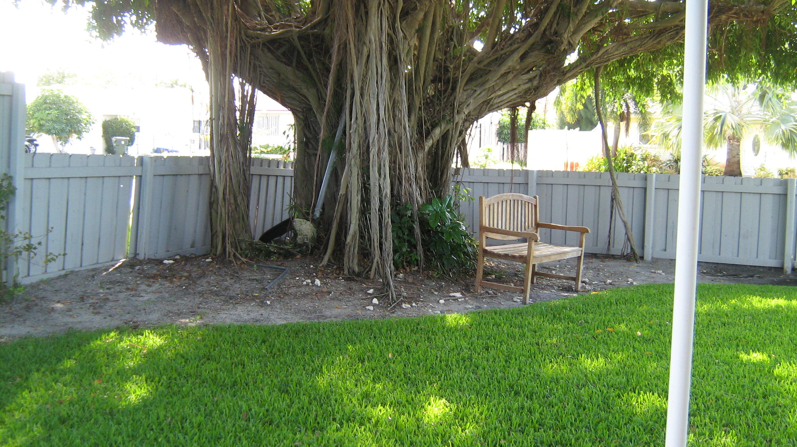 400 Northeast 46th Street Boca Raton, FL 33431 - Photo 31 of 31 Shade Tree