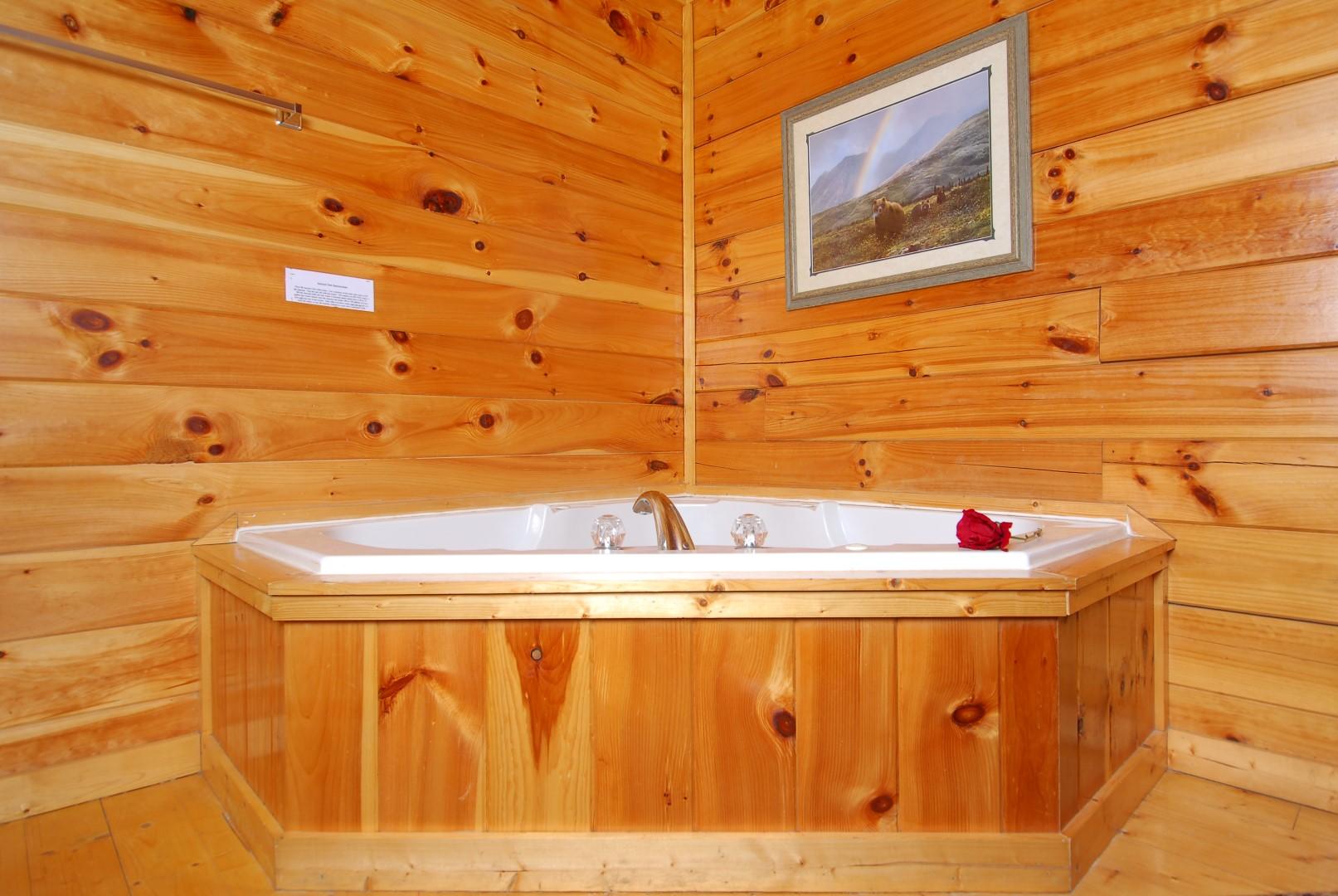 2230 Breezy Road Sevierville, TN 37876 - Photo 11 of 25 DSC_0052