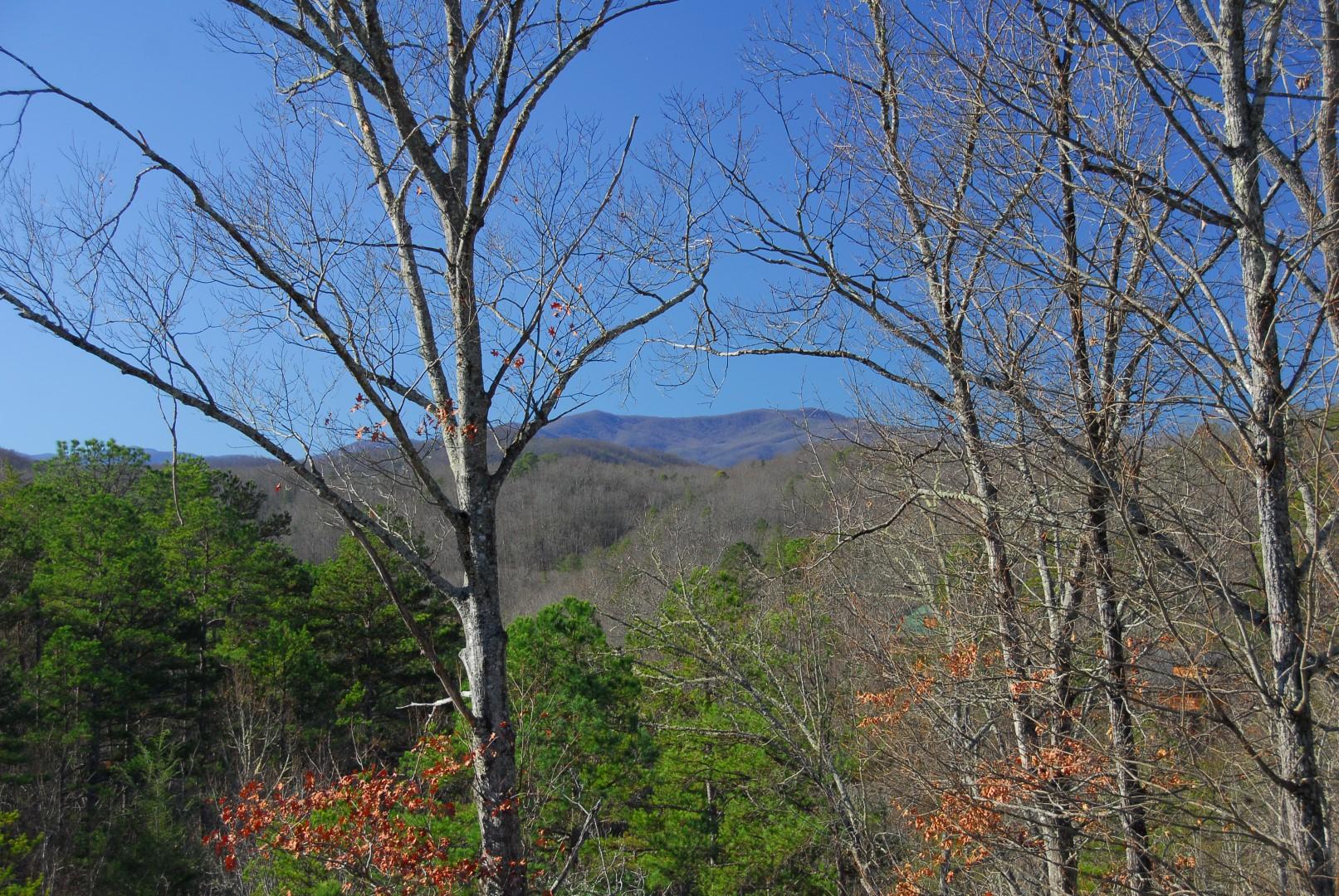 2230 Breezy Road Sevierville, TN 37876 - Photo 4 of 25 DSC_0016