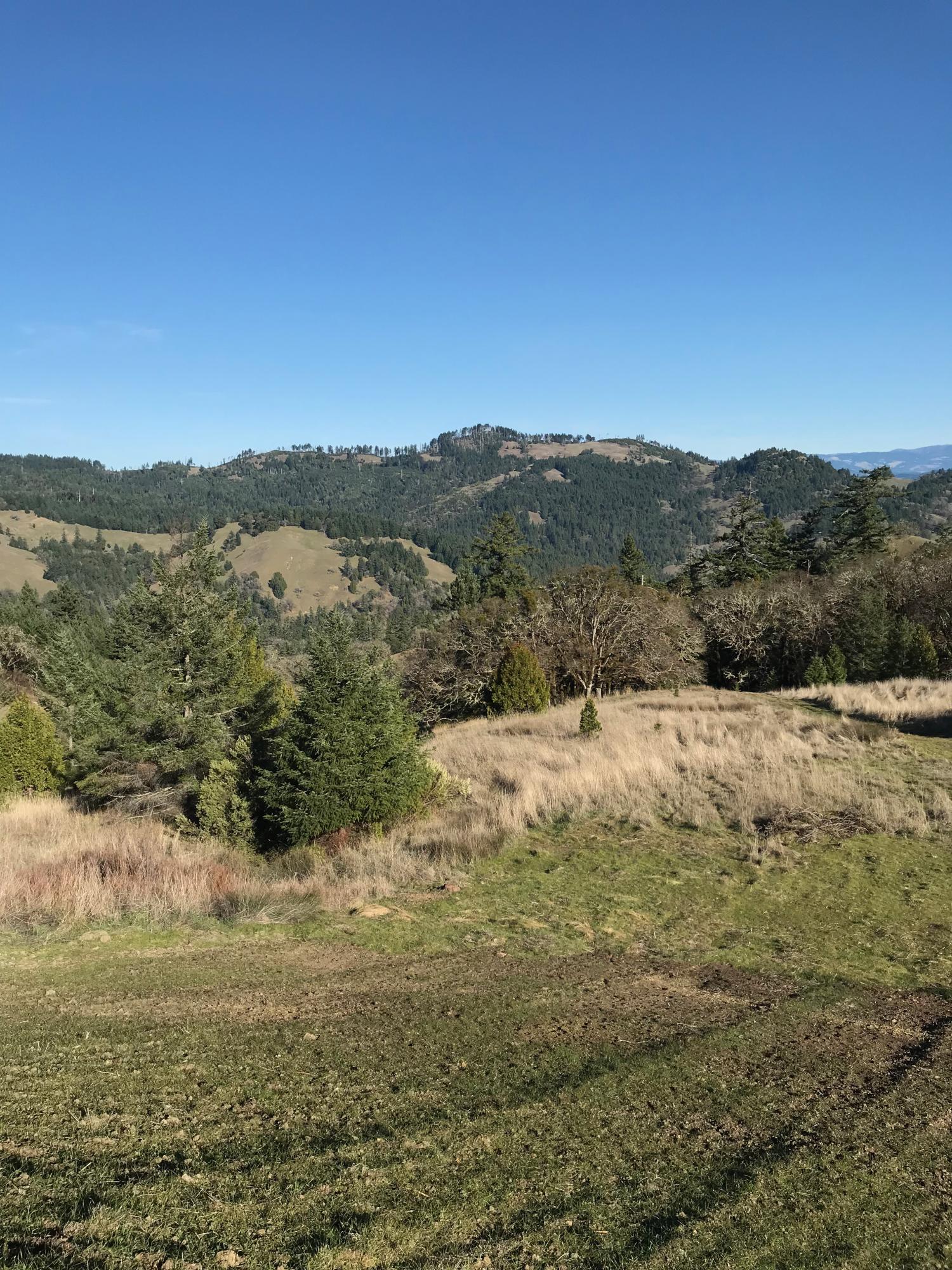 3848 Thomas Road Miranda, CA 95553 - Photo 13 of 77 Rich Farmland
