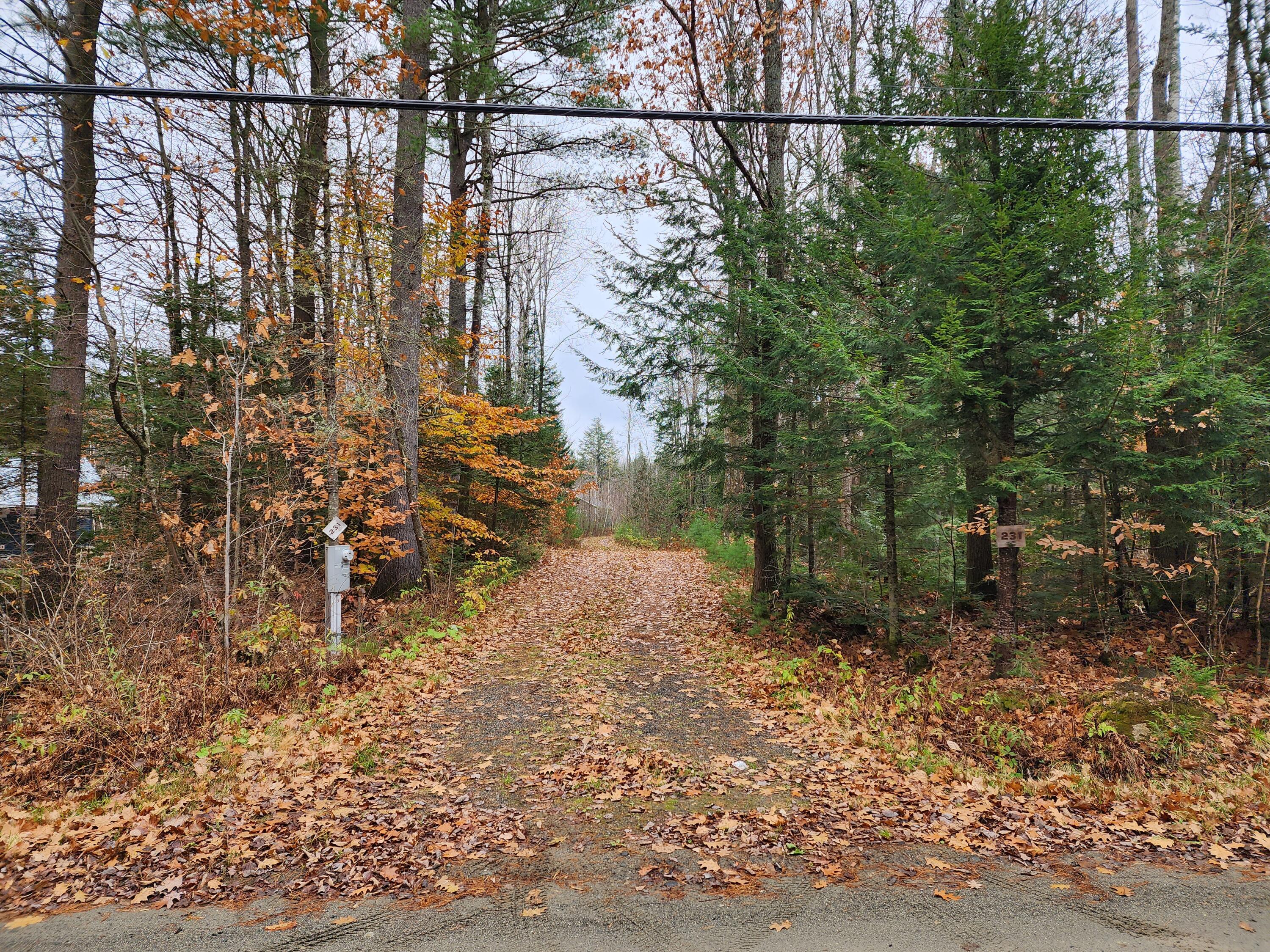 231 Swan Road New Sharon, ME 04955 - Photo 2 of 32 20231107_095741