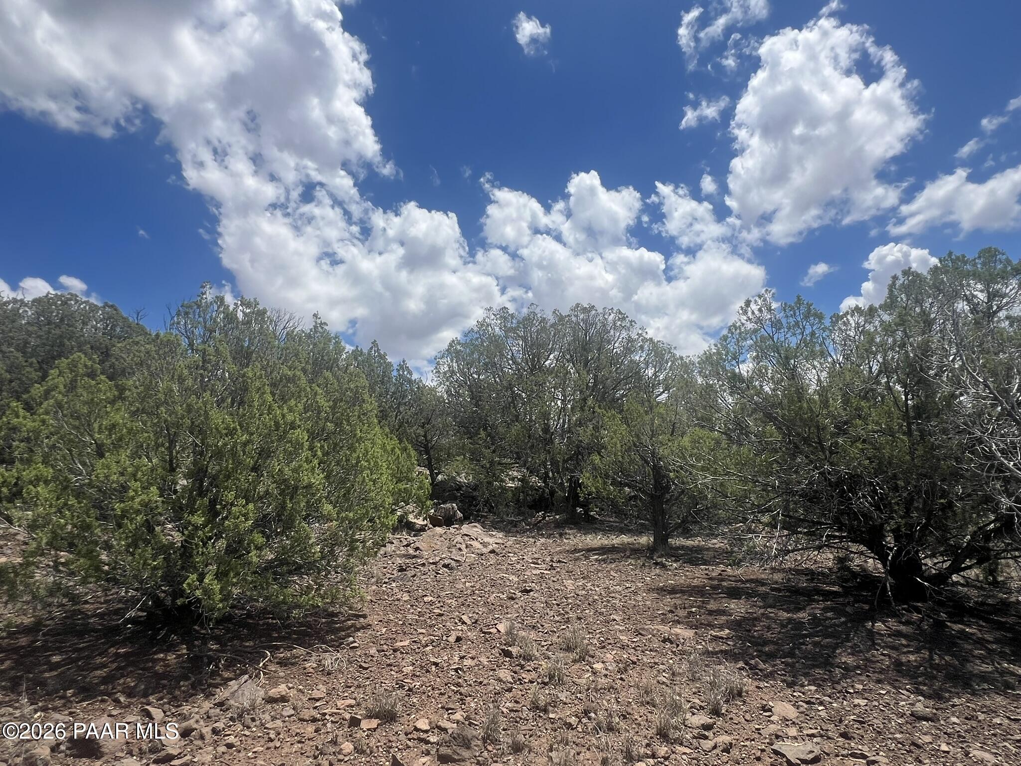 82 Mathis Road Ash Fork, AZ 86320 - Photo 15 of 17 IMG_0372