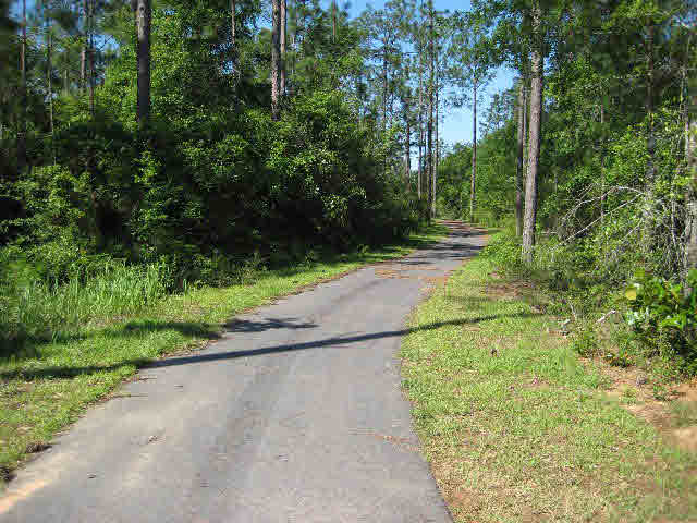 10853 Cresthaven Drive Daphne, AL 36527 - Photo 33 of 39