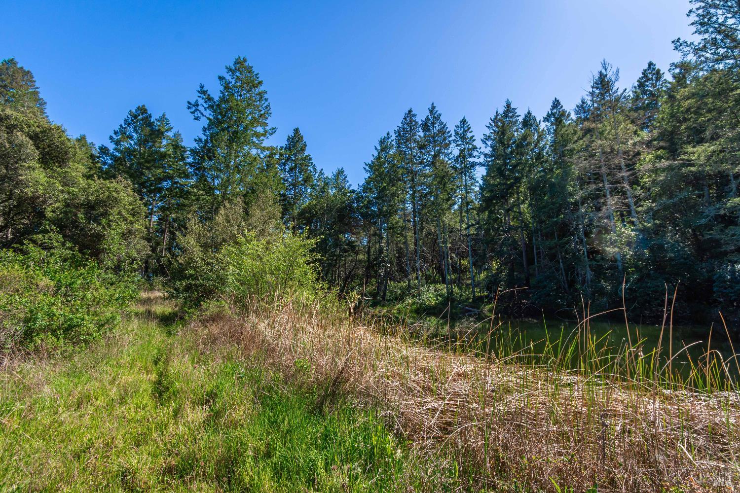 0 Dry Creek Road Napa, CA 94558 - Photo 53 of 98