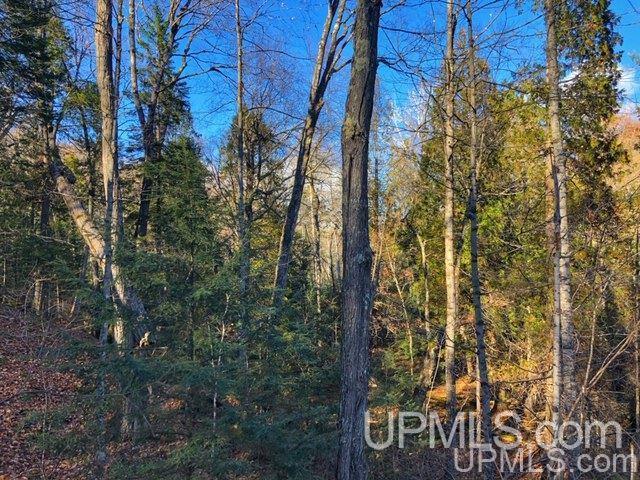 Tbd Youngs Road Gwinn, MI 49841 - Photo 16 of 48 Gallery Image 16