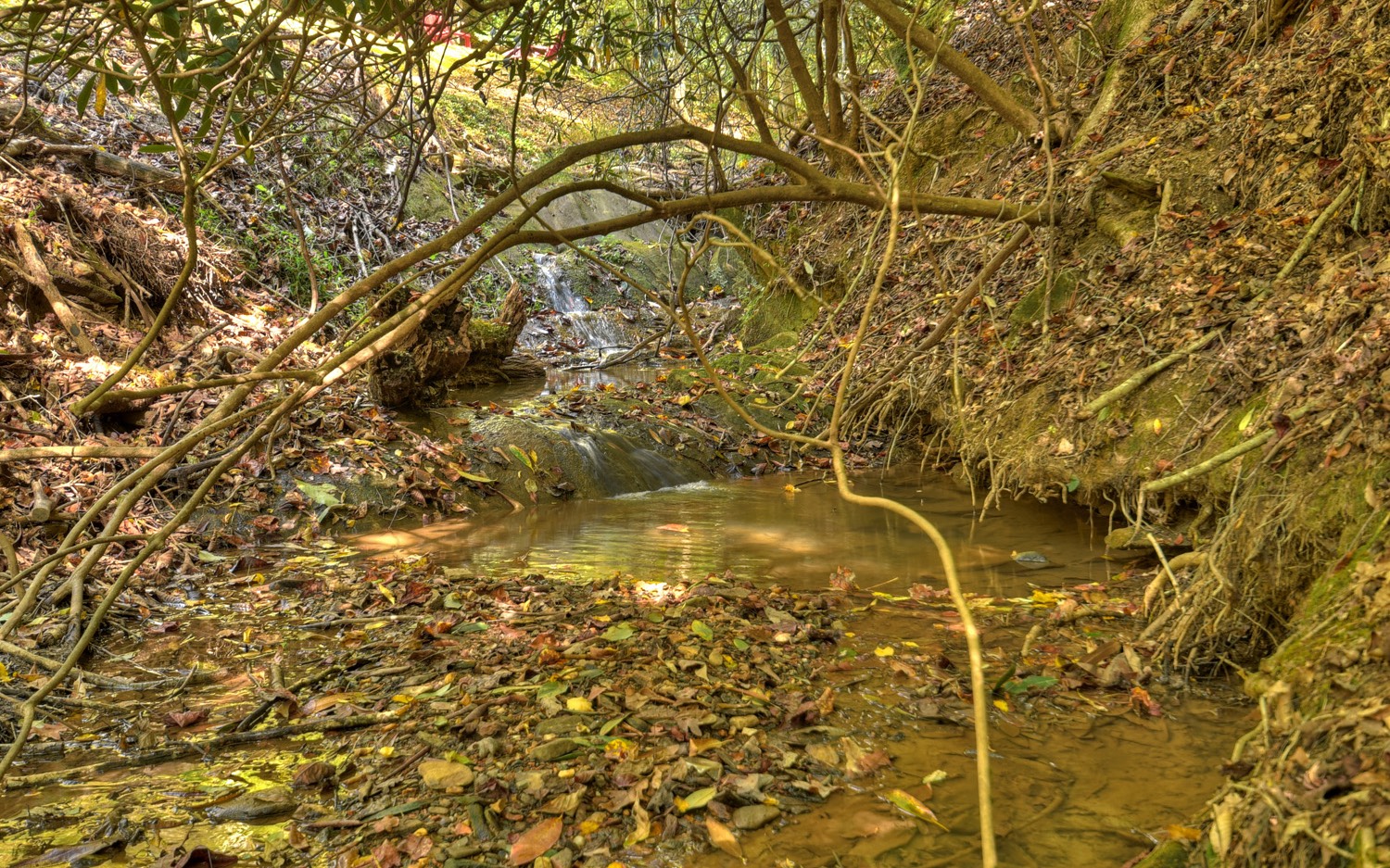 63 Chimney Court Ellijay, GA 30540 - Photo 31 of 49