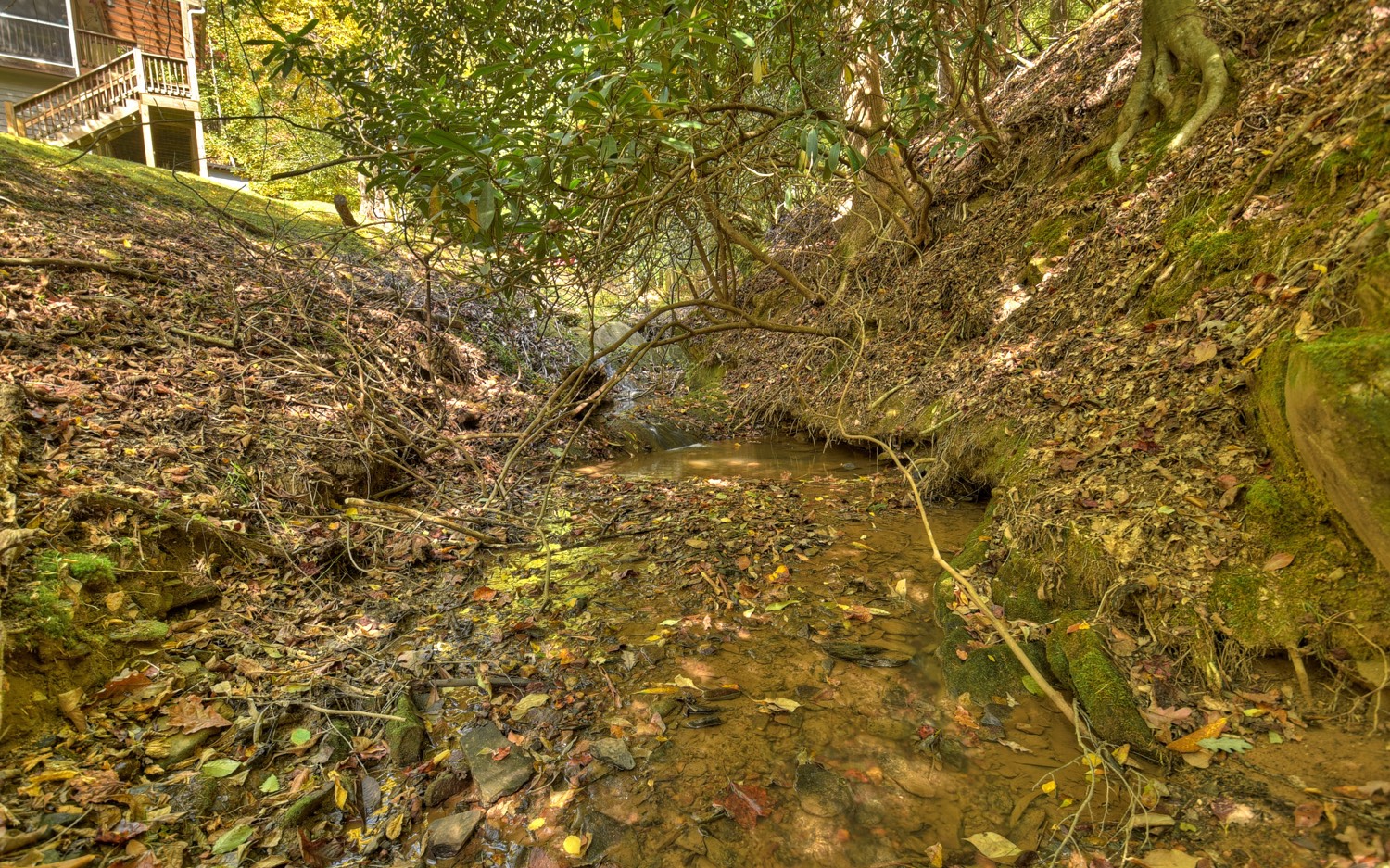 63 Chimney Court Ellijay, GA 30540 - Photo 34 of 49 a view of a yard