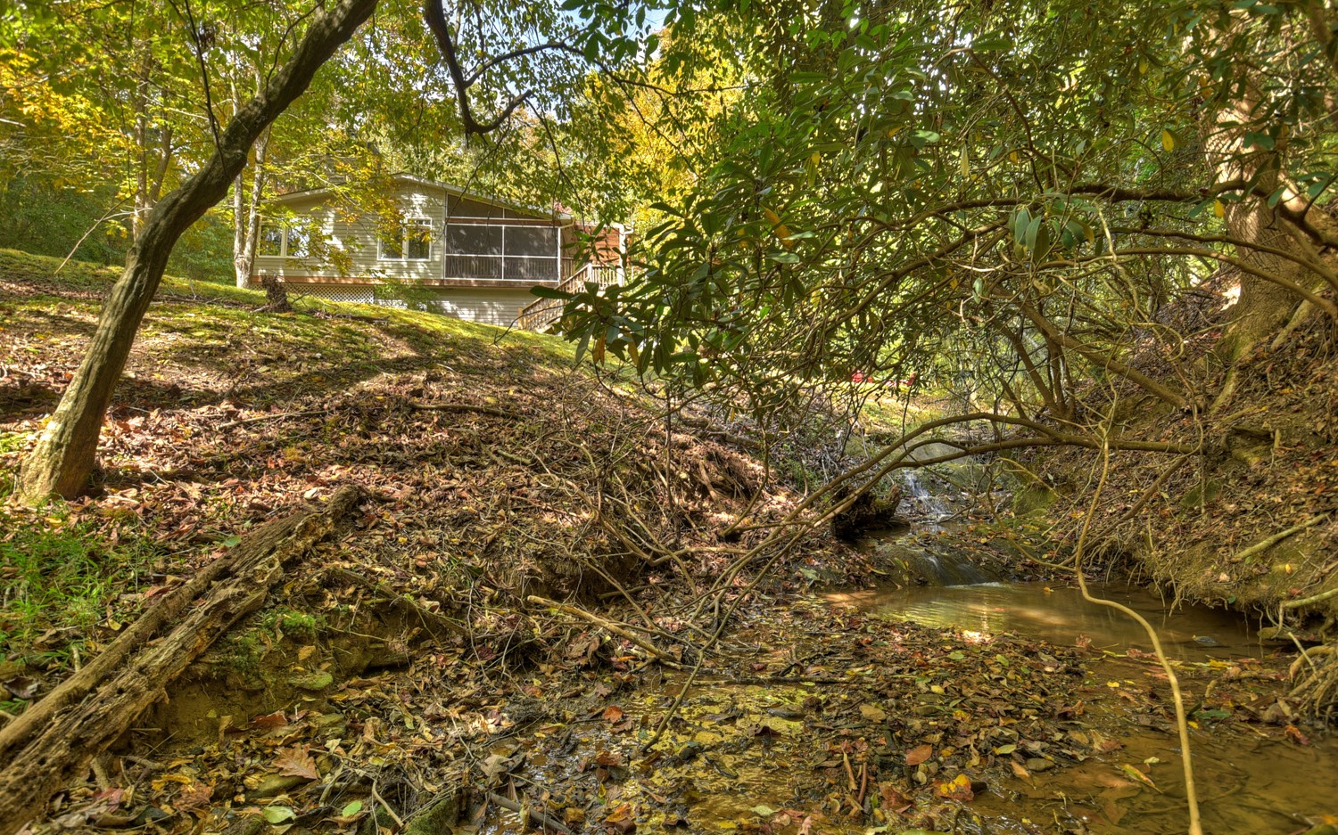 63 Chimney Court Ellijay, GA 30540 - Photo 35 of 49 a picture of a tree