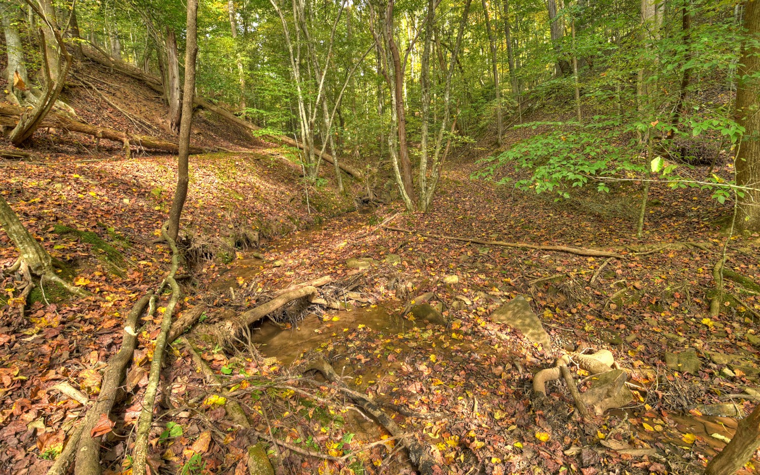 63 Chimney Court Ellijay, GA 30540 - Photo 40 of 49 a view of a backyard of a house