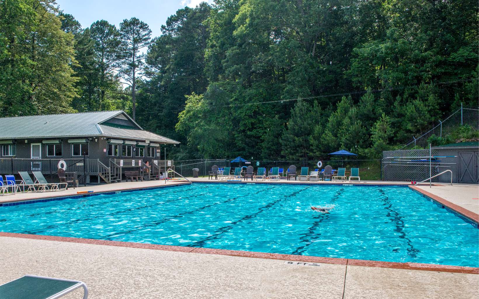 63 Chimney Court Ellijay, GA 30540 - Photo 44 of 49 a front view of house with yard and trees