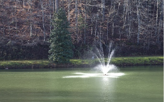 63 Chimney Court Ellijay, GA 30540 - Photo 45 of 49 a view of a lake view