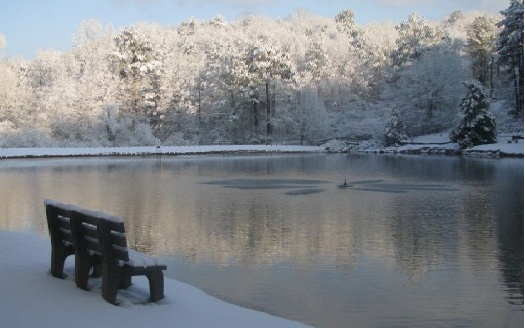 63 Chimney Court Ellijay, GA 30540 - Photo 47 of 49 a view of a lake from a roof deck