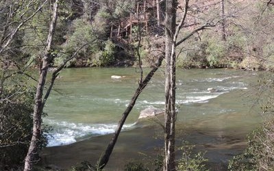 63 Chimney Court Ellijay, GA 30540 - Photo 48 of 49 a view of a lake from a corridor