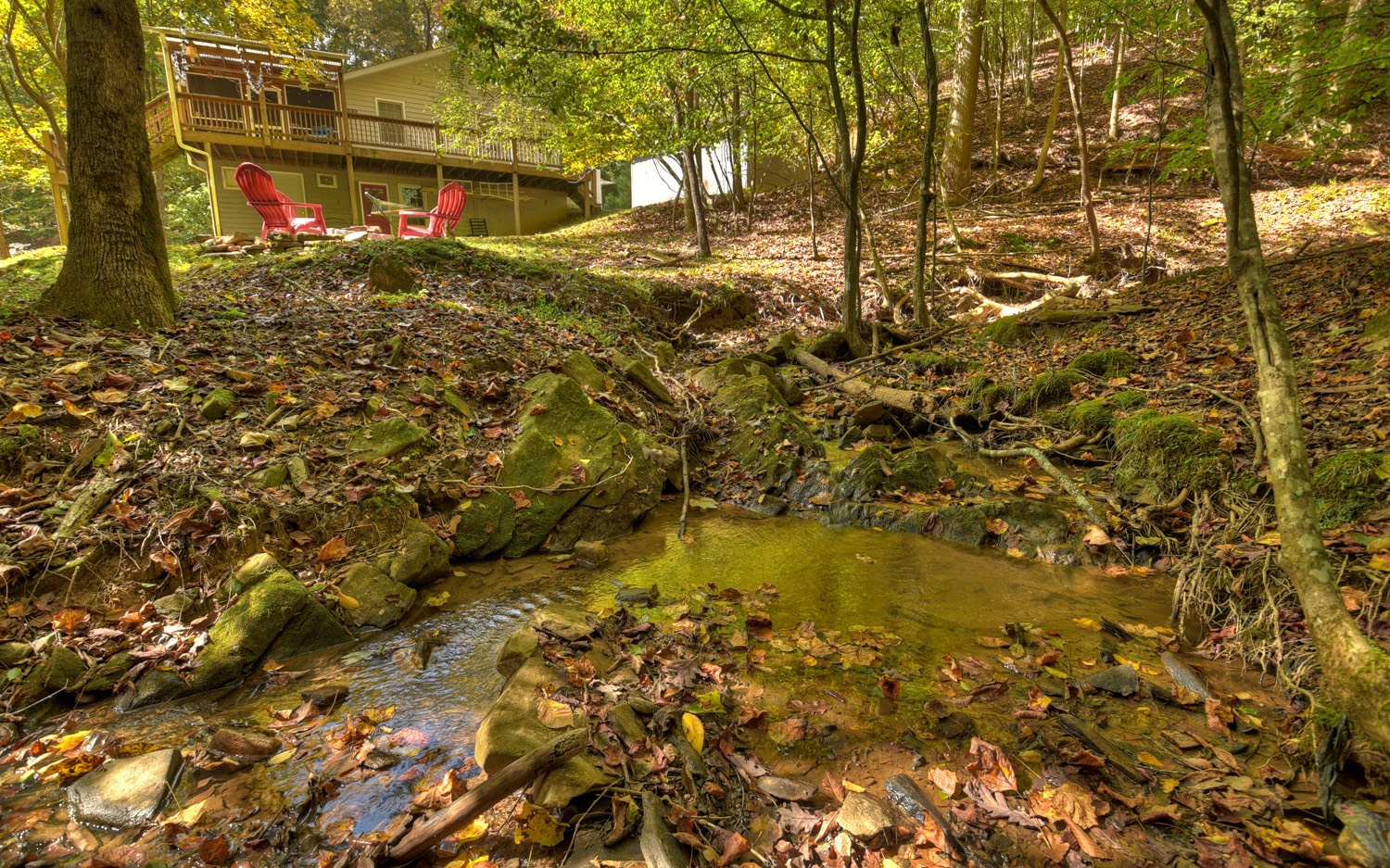 63 Chimney Court Ellijay, GA 30540 - Photo 5 of 49 a view of yard
