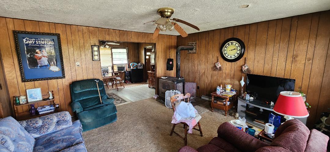 95 Three Springs Loop Long Lane, MO 65590 - Photo 10 of 14 living room
