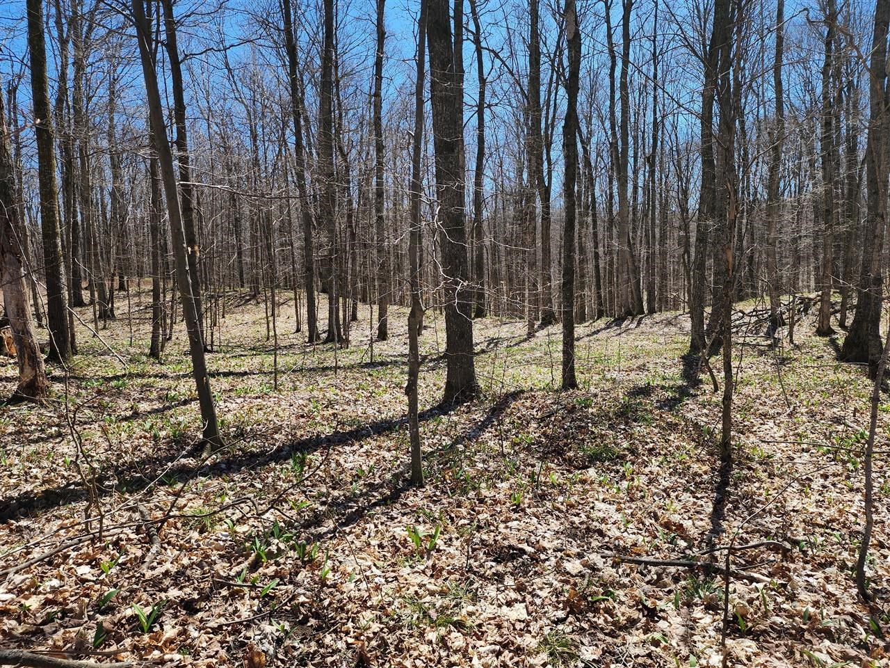 34 Goshawk Ridge Traverse City, MI 49684 - Photo 2 of 21