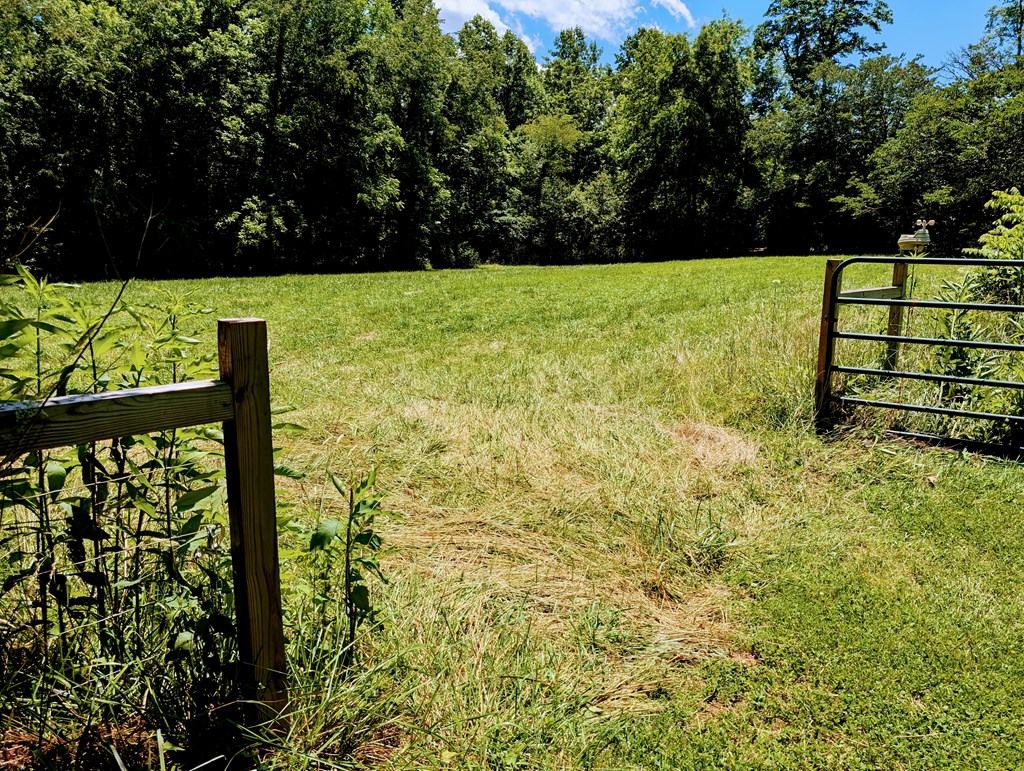 169 East Vineyard Road Hayesville, NC 28904 - Photo 11 of 61 Gallery Image 11
