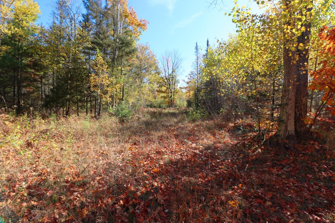 Three Reed Road Three Lakes, WI 54562 - Photo 27 of 28 Gallery Image 27
