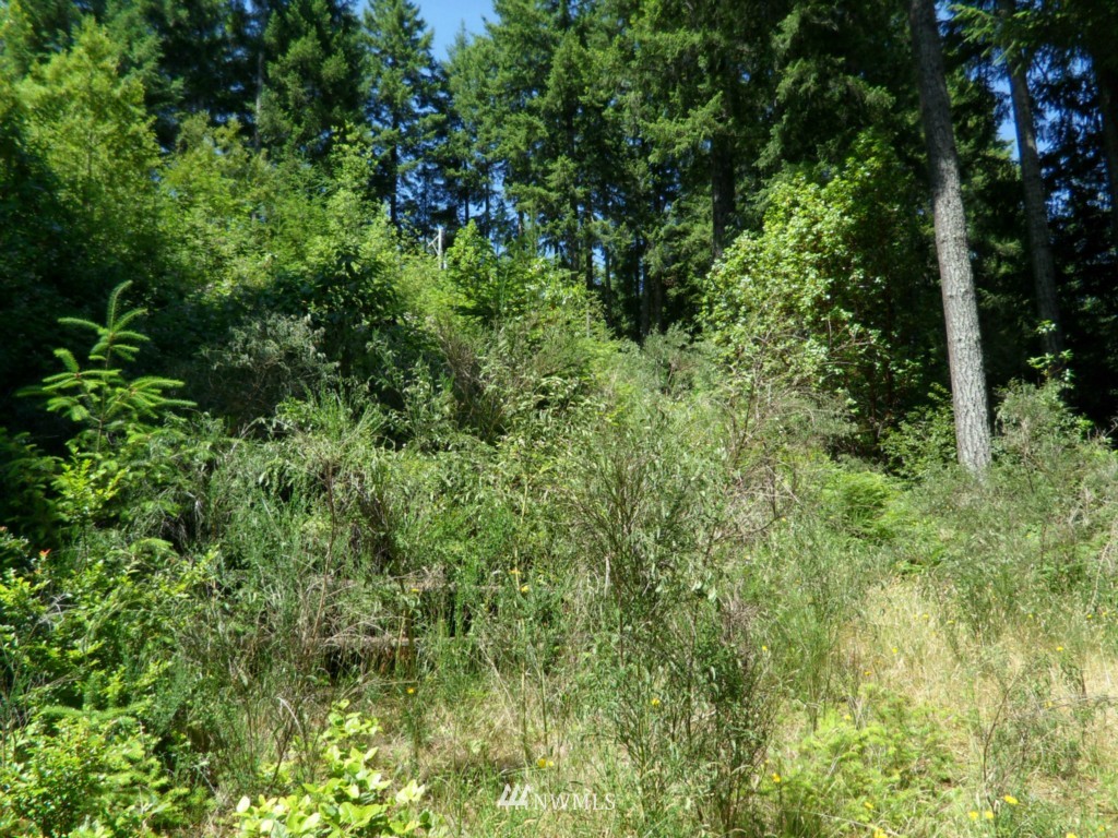 2970 East Phillips Lake Loop Road Shelton, WA 98584 - Photo 8 of 10 Gallery Image 8