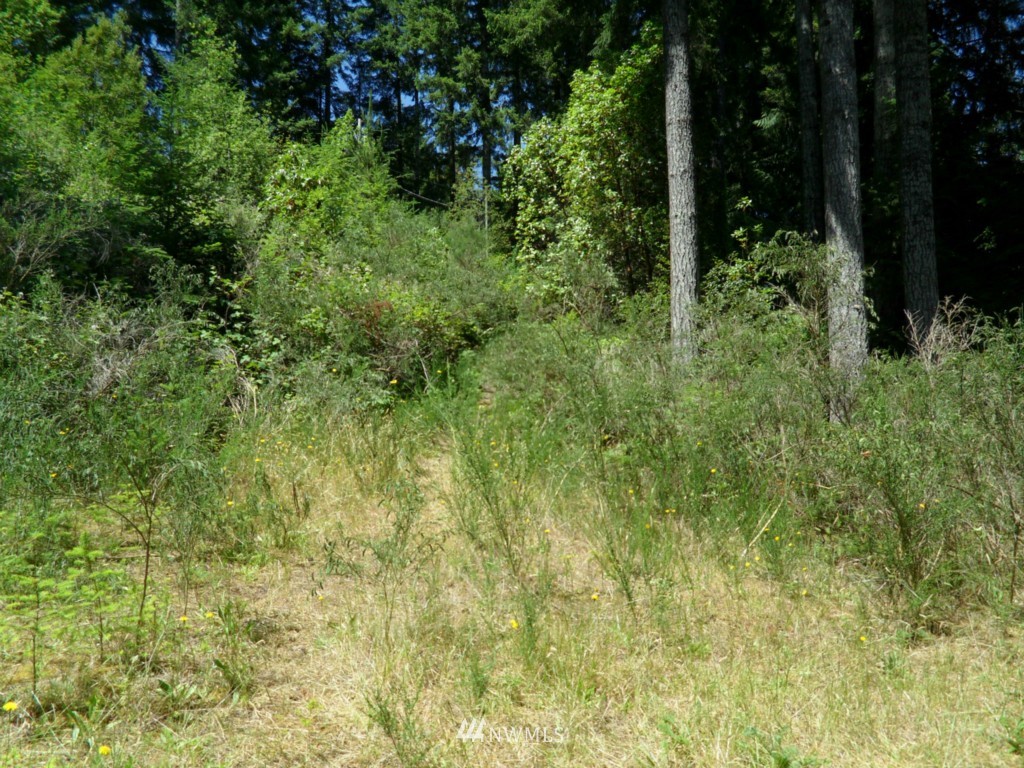 2970 East Phillips Lake Loop Road Shelton, WA 98584 - Photo 9 of 10 Gallery Image 9