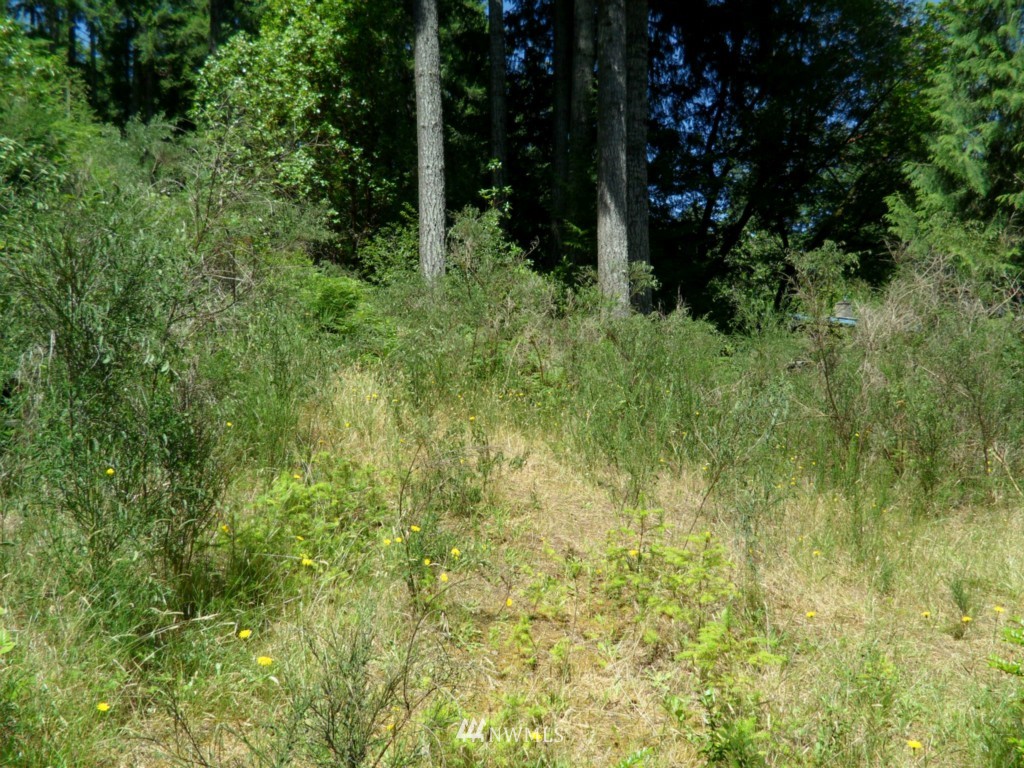 2970 East Phillips Lake Loop Road Shelton, WA 98584 - Photo 10 of 10 Gallery Image 10