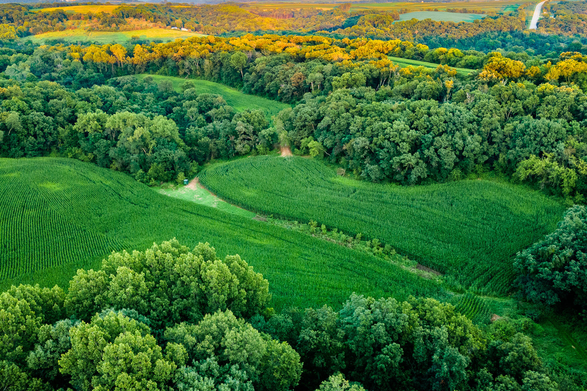 5292 Stenner Hill Road Marion, WI 53805 - Photo 50 of 69 Grant-County-WI-155-Acres-Land-For-Sale-