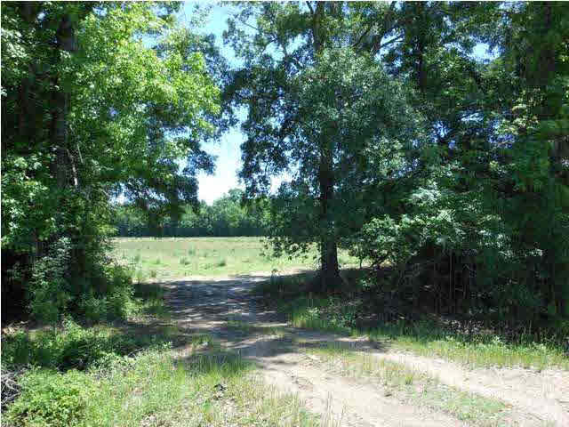 0 Old Canton Road Canton, MS 39046 - Photo 1 of 2 VIEW FROM N. OLD CANTON ROAD