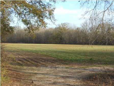 0 Old Canton Road Canton, MS 39046 - Photo 2 of 2 VIEW FROM N. OLD CANTON RD