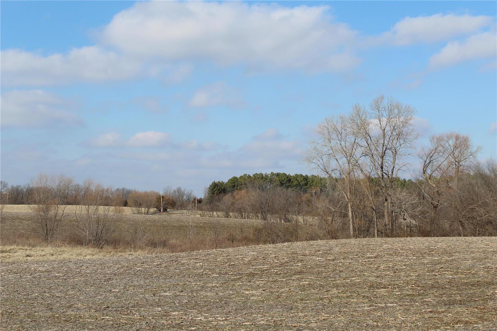 0 Vv Road Prairie du Rocher, IL 62277 - Photo 11 of 14