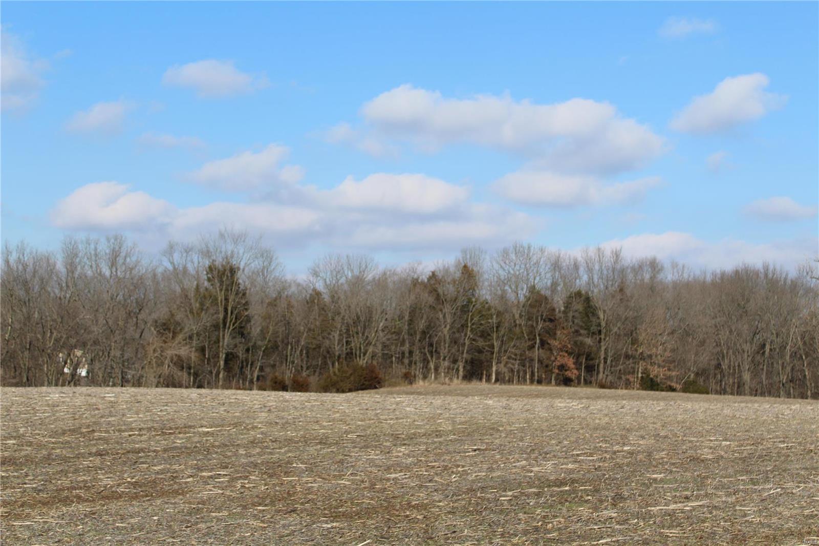 0 Vv Road Prairie du Rocher, IL 62277 - Photo 12 of 14