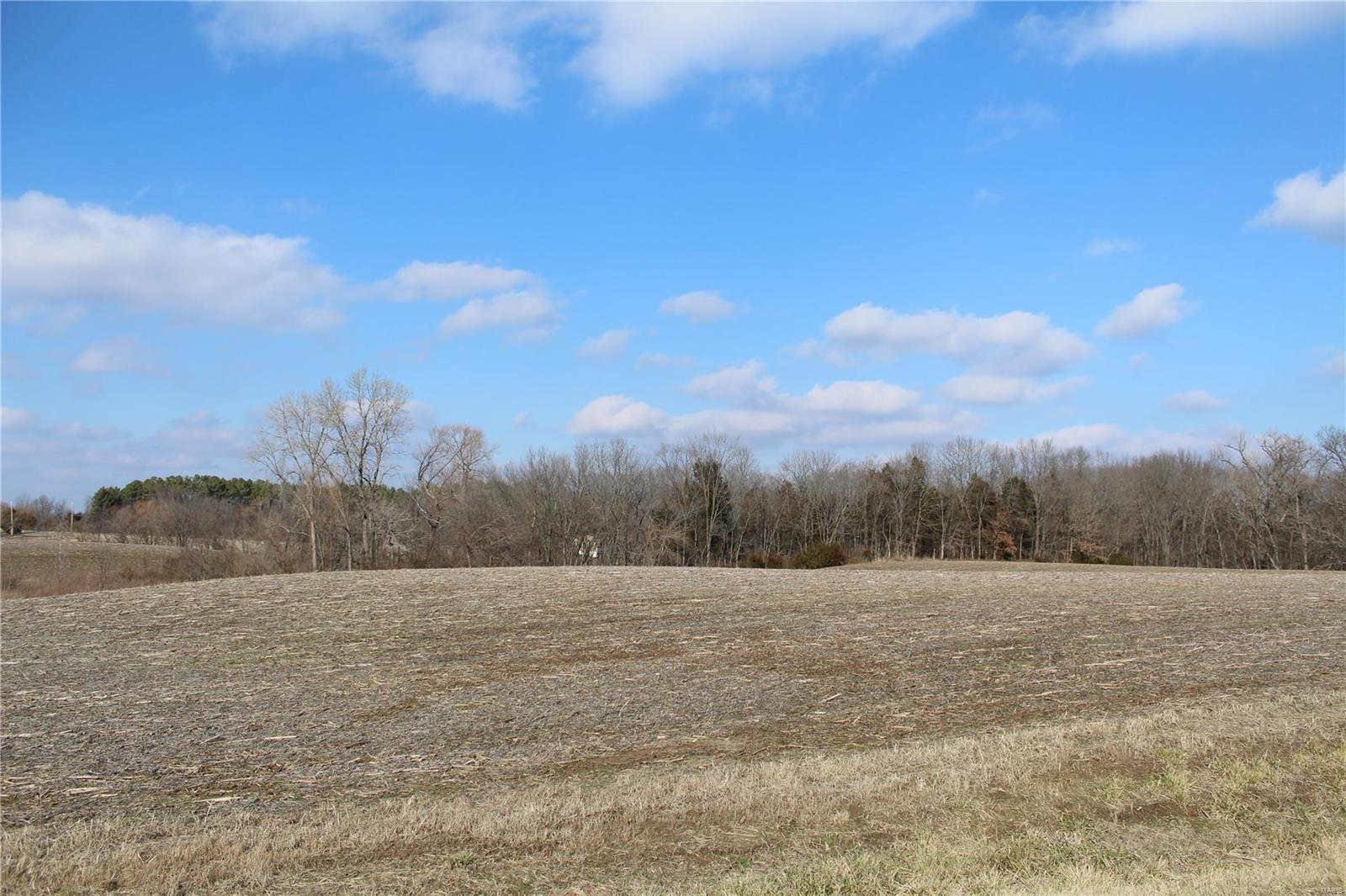 0 Vv Road Prairie du Rocher, IL 62277 - Photo 13 of 14