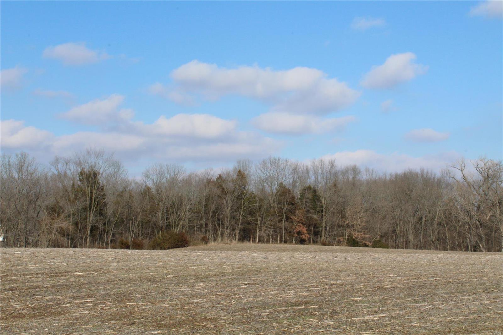 0 Vv Road Prairie du Rocher, IL 62277 - Photo 8 of 14