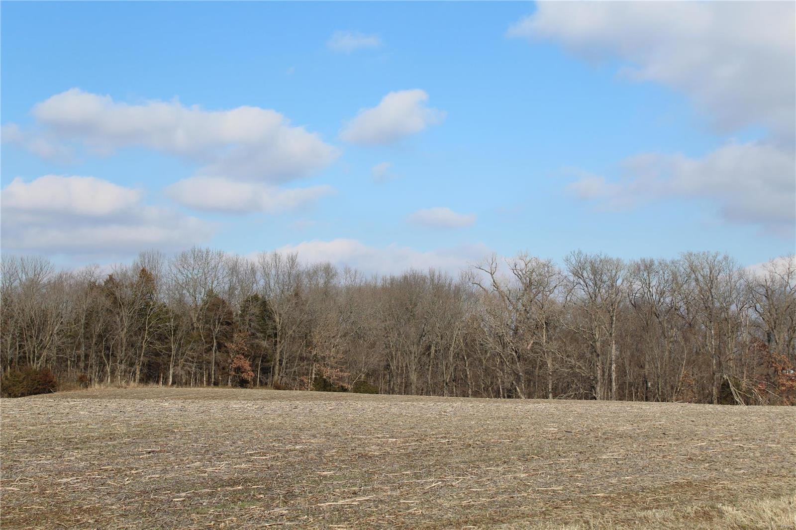 0 Vv Road Prairie du Rocher, IL 62277 - Photo 9 of 14